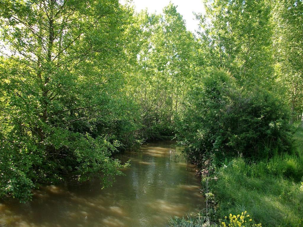 Tauxigny La Cle Des Chants المظهر الخارجي الصورة
