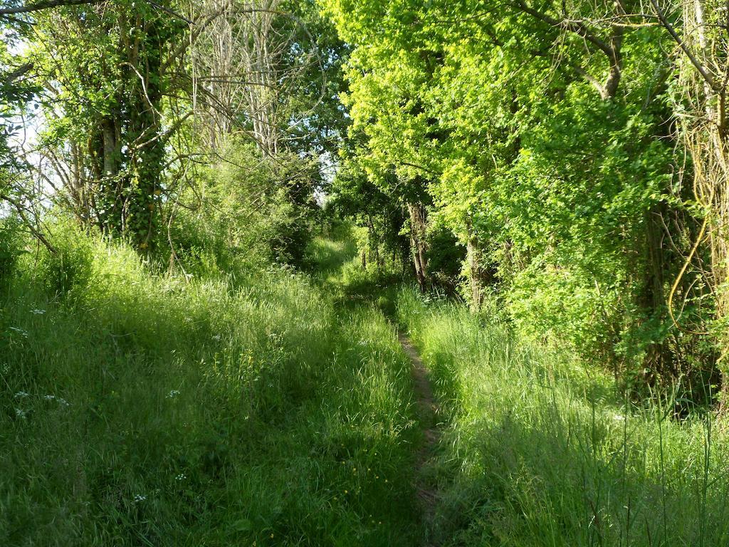 Tauxigny La Cle Des Chants المظهر الخارجي الصورة